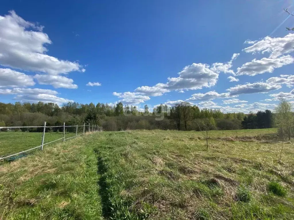 Участок в Смоленская область, Смоленский муниципальный округ, д. ... - Фото 1