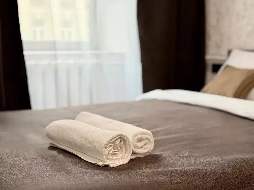 1-к кв. Москва Новая Басманная ул., 35С1 (25.0 м) - Фото 2