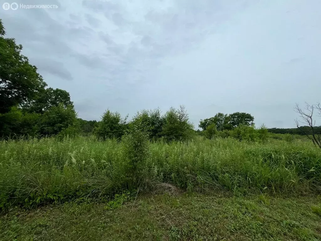 Участок в Уссурийский городской округ, село Глуховка (10.4 м) - Фото 1