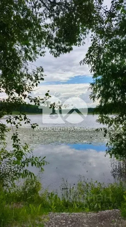 Дом в Новосибирская область, Мошковский район, Станционно-Ояшинский рп ... - Фото 0