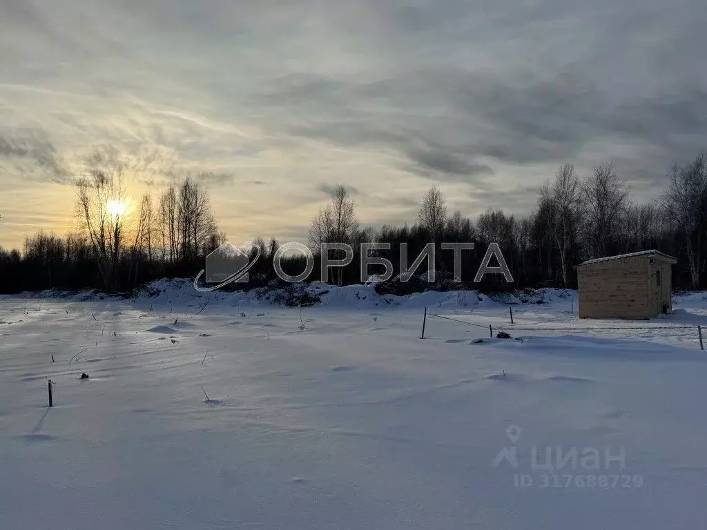 Участок в Тюменская область, Нижнетавдинский район, Виктория ТСН ул. ... - Фото 1
