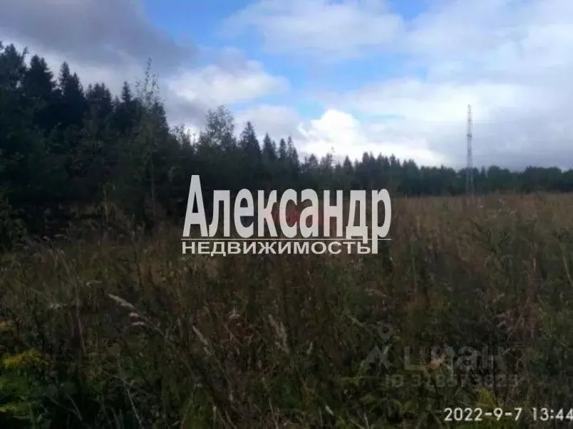 Участок в Ленинградская область, Волховский район, Вындиноостровское ... - Фото 1