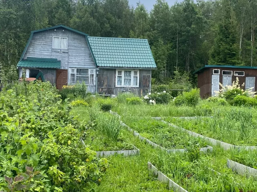 Дача 48 м на участке 7 сот. - Фото 0