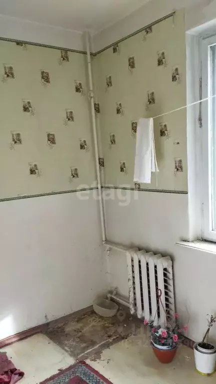 1-к кв. Курганская область, Шадринск ул. Бажова, 28 (34.9 м) - Фото 0