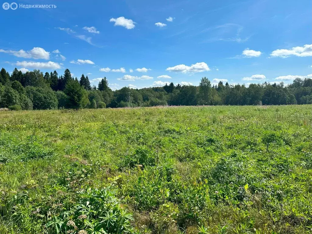 Участок в Московская область, городской округ Клин, деревня Вертково ... - Фото 1