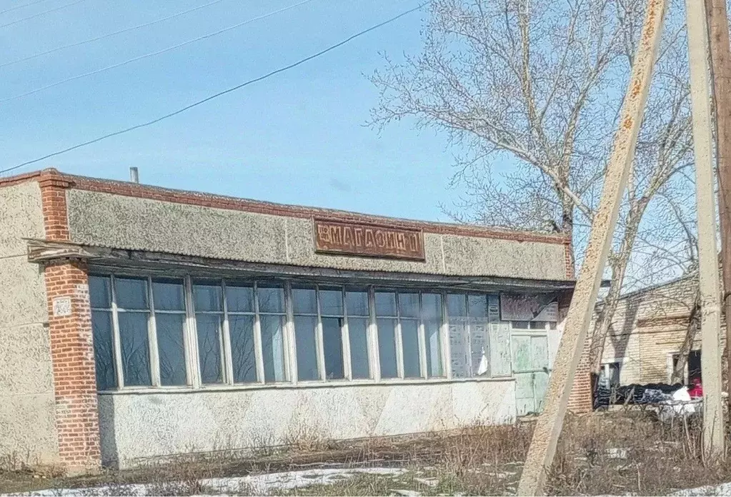 Помещение свободного назначения в Челябинская область, Чебаркульский ... - Фото 0