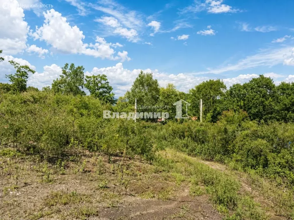 Участок в село Владимиро-Александровское, Таёжная улица, 29 (20 м) - Фото 2