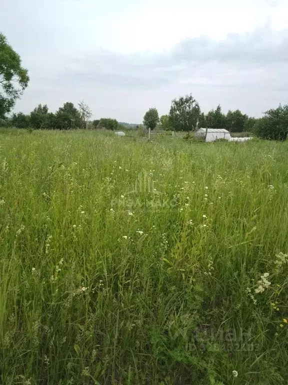 Участок в Брянская область, Дятьково  (20.0 сот.) - Фото 2