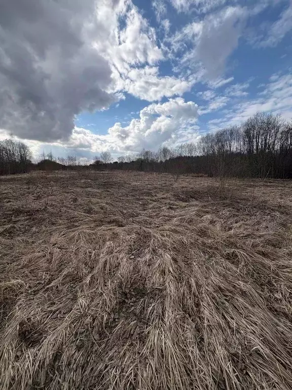 Участок в Ленинградская область, Волхов Шкурина Горка мкр,  (12.0 ... - Фото 2