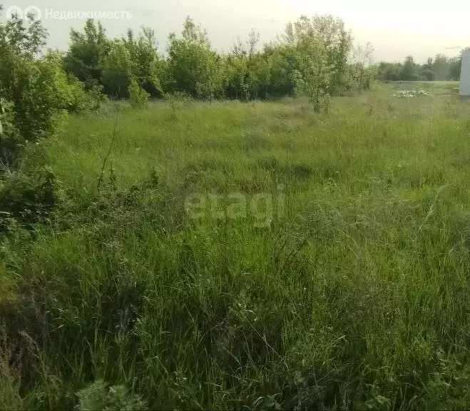 Участок в Афанасьевка, улица Комарова (28.6 м) - Фото 1