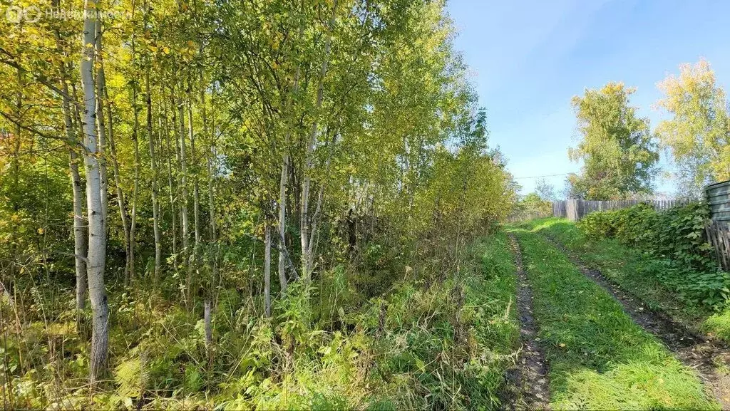 Участок в Богашёво, улица Новостройка (7 м) - Фото 2