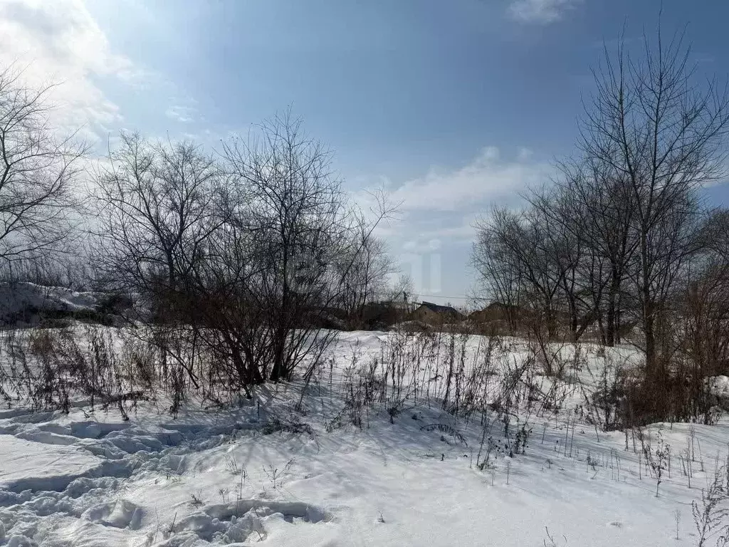 Участок в Хабаровский край, Хабаровский район, Корсаковское с/мо, с. ... - Фото 2