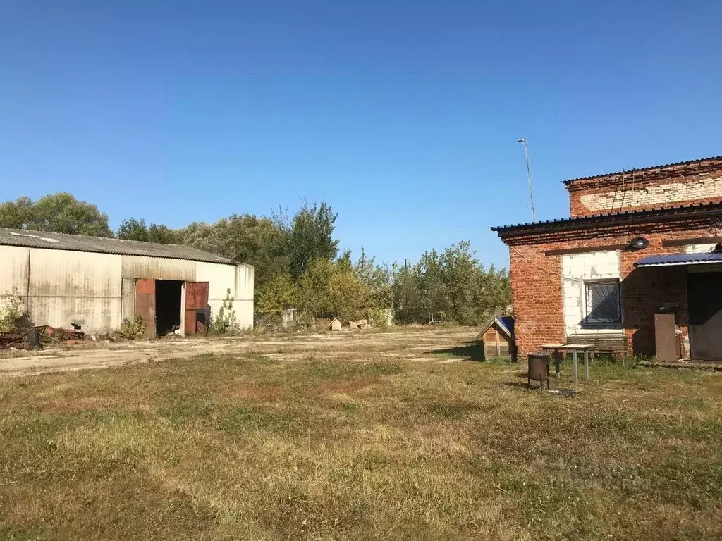 Помещение свободного назначения в Московская область, Раменский ... - Фото 0