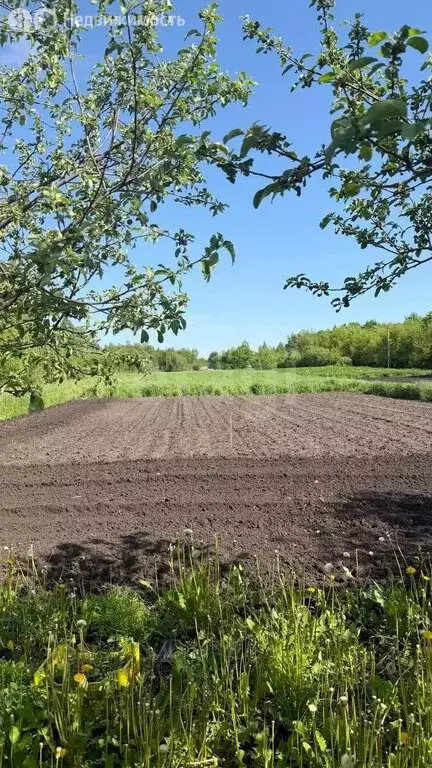 Дом в село Бутырки, улица Ворошилова (80 м) - Фото 2