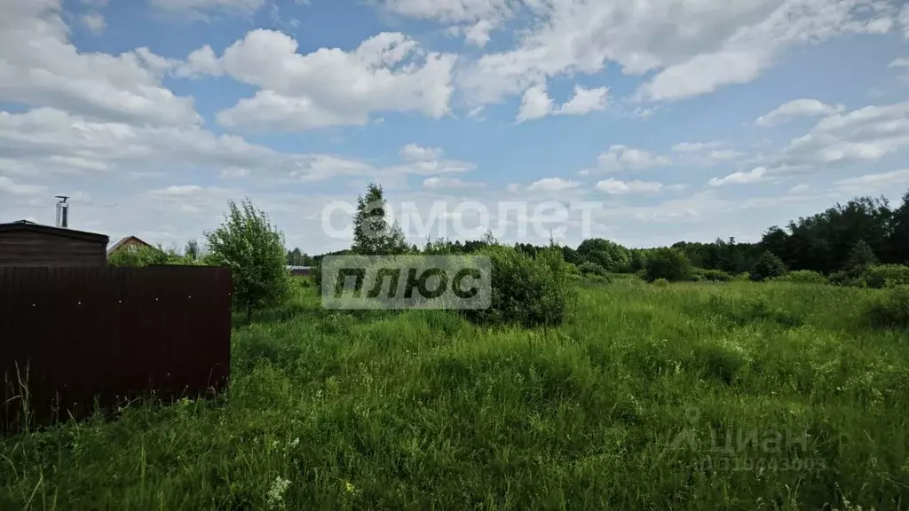 Участок в Нижегородская область, Богородский муниципальный округ, д. ... - Фото 0