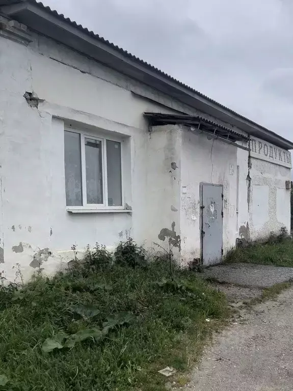 Торговая площадь в Свердловская область, Первоуральск муниципальный ... - Фото 0