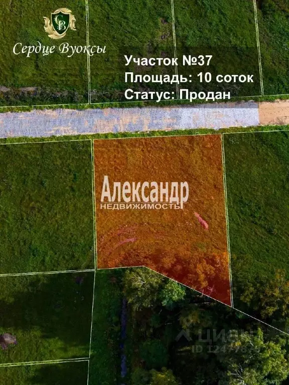Участок в Ленинградская область, Приозерский район, Красноозерное ... - Фото 2