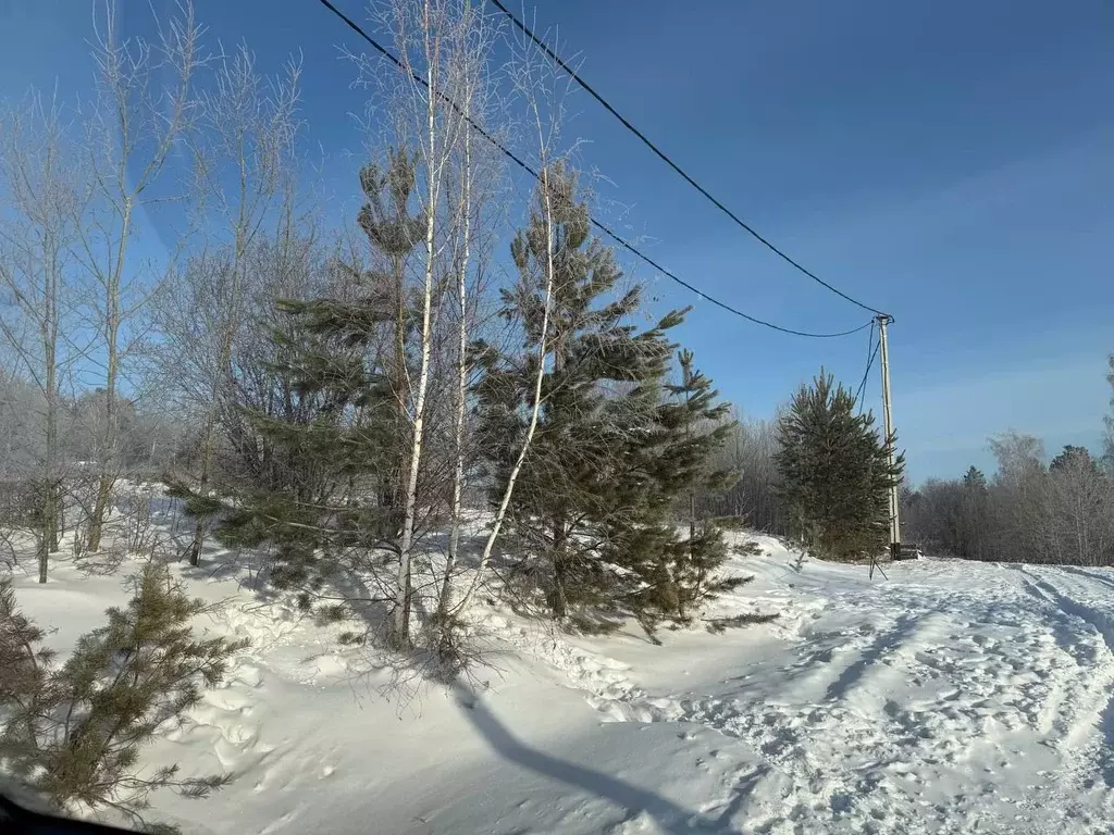 Участок в Иркутская область, Иркутский муниципальный округ ... - Фото 1