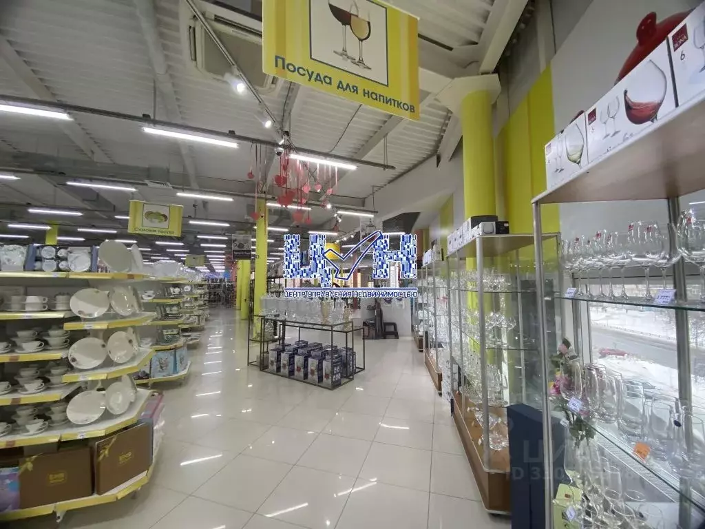Торговая площадь в Курская область, Курск ул. Косухина, 29Б (700 м) - Фото 2