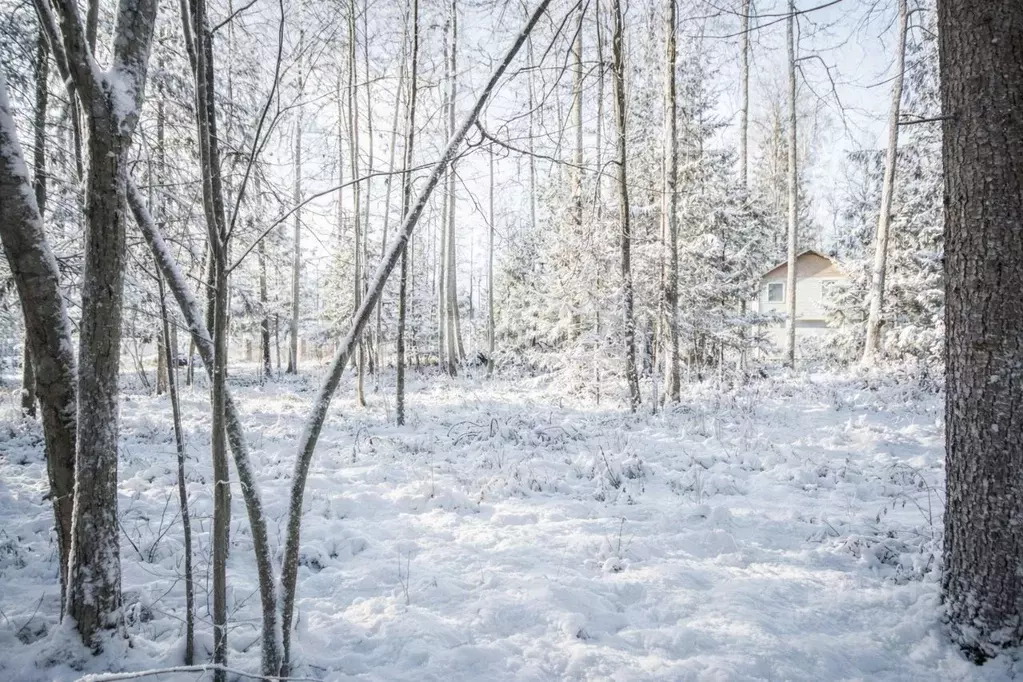 Участок в Московская область, Одинцовский городской округ, д. Сивково, ... - Фото 1