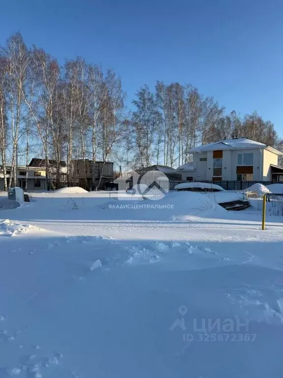 Участок в Новосибирская область, Новосибирский район, Сибирские ... - Фото 1