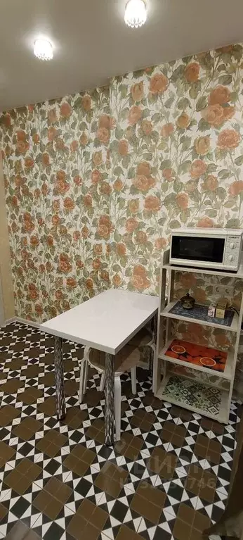 1-к кв. Санкт-Петербург пос. Парголово, ул. Валерия Гаврилина, 13к1 ... - Фото 2