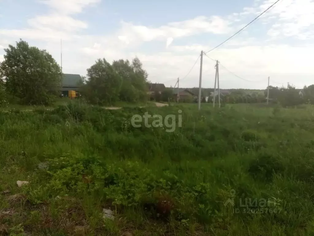 Участок в Костромская область, Красносельский район, Чапаевское с/пос, ... - Фото 1