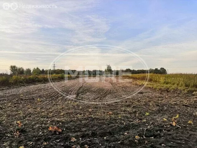 Участок в Калининградская область, Гвардейский муниципальный округ, ... - Фото 1