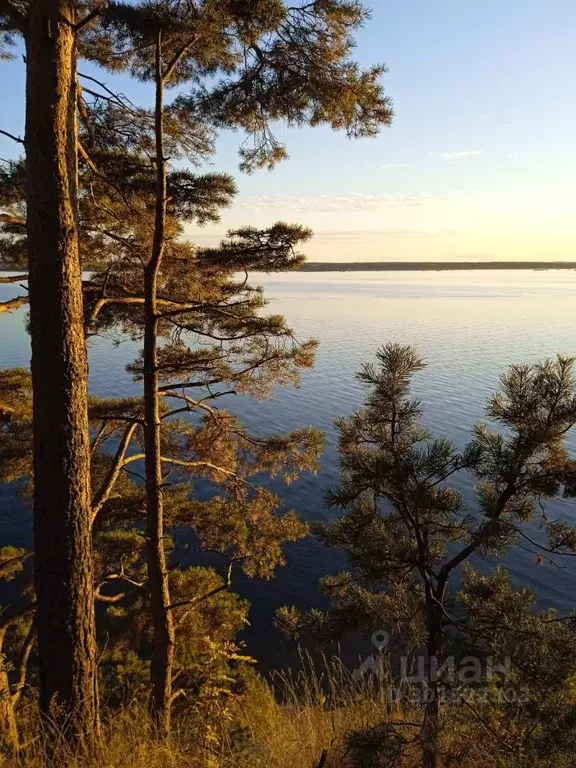 Дом в Ярославская область, Рыбинский муниципальный округ, д. Василево ... - Фото 1