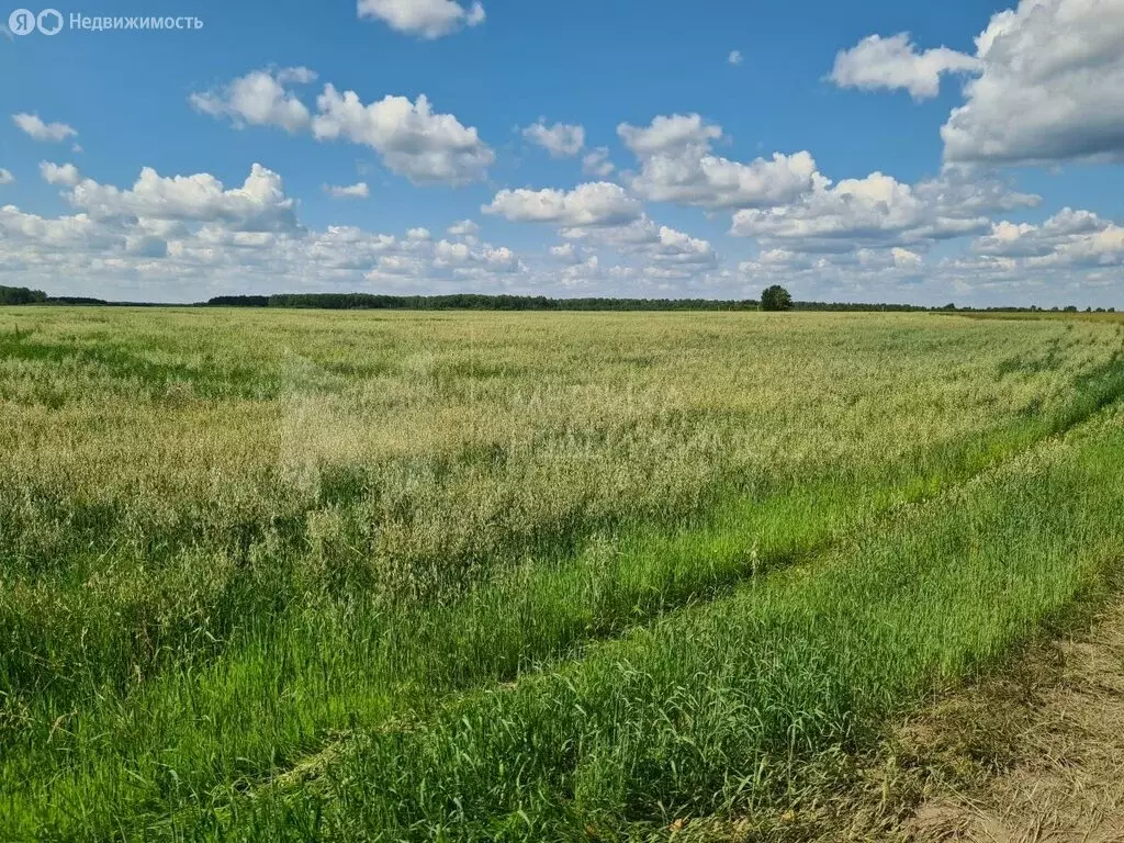 Участок в Тюменский район, коттеджный посёлок Онегин, Мирная улица (8 ... - Фото 0
