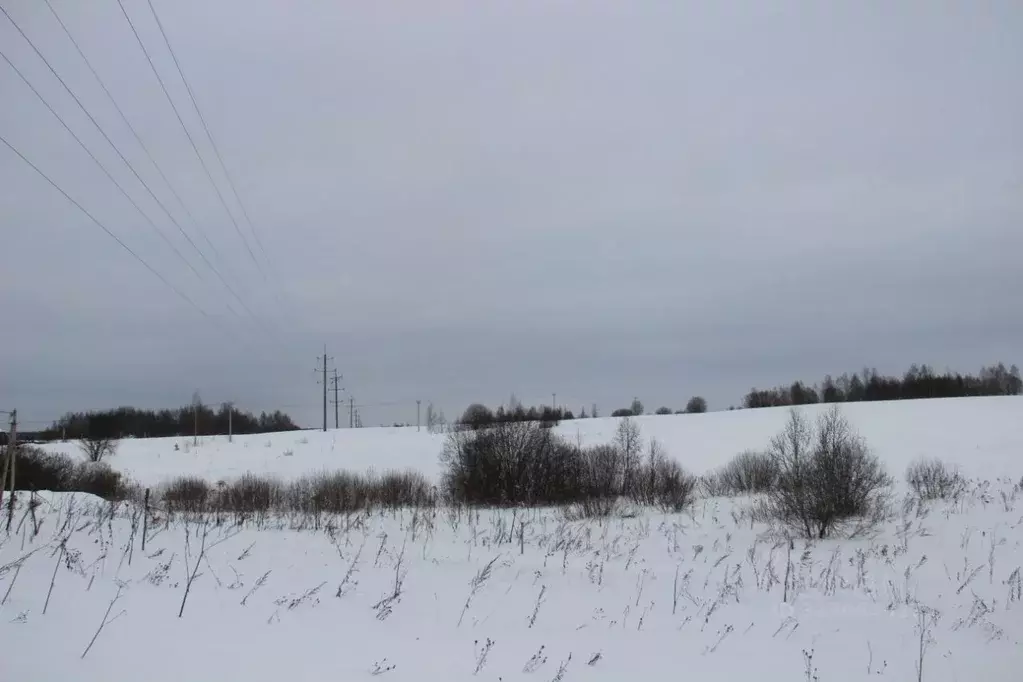 Участок в Московская область, Шаховская муниципальный округ, с. Середа ... - Фото 2