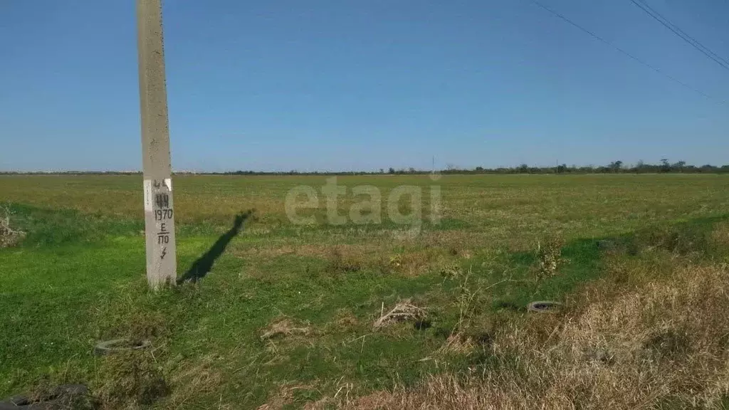 Участок в Краснодарский край, Ейск Весна садоводческое товарищество,  ... - Фото 2