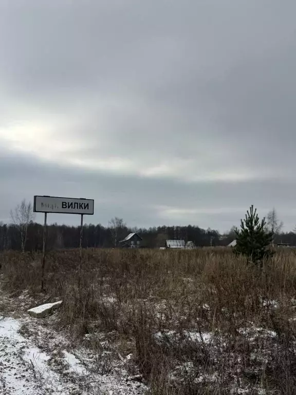 Участок в Владимирская область, Владимир д. Вилки, ул. Центральная ... - Фото 0