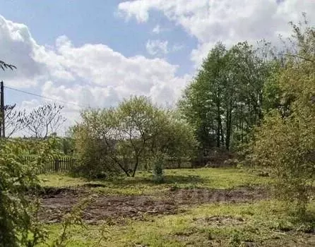 Участок в Камчатский край, Елизовский муниципальный округ, пос. ... - Фото 1