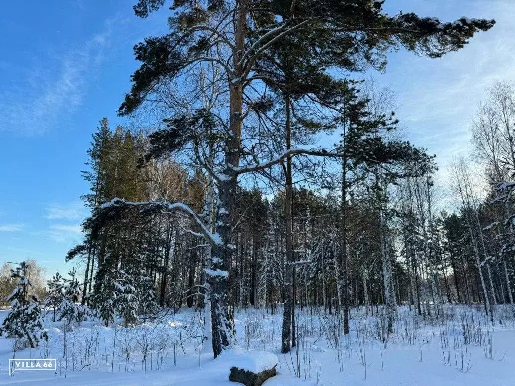 Участок в Свердловская область, Сысертский городской округ, пос. ... - Фото 0