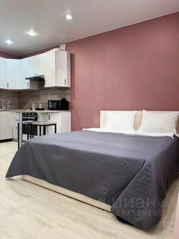 1-к кв. Амурская область, Благовещенск ул. Пушкина, 100 (31.0 м) - Фото 2