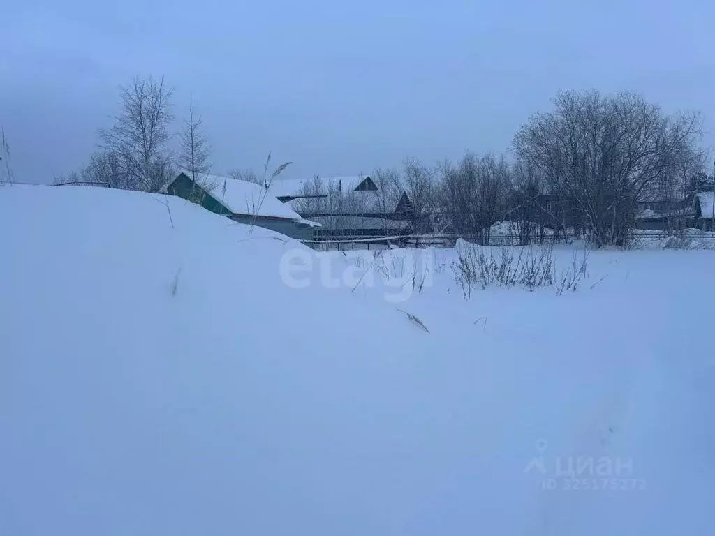 Участок в Ямало-Ненецкий АО, Тарко-Сале Пуровский район, Кедровая ул. ... - Фото 1