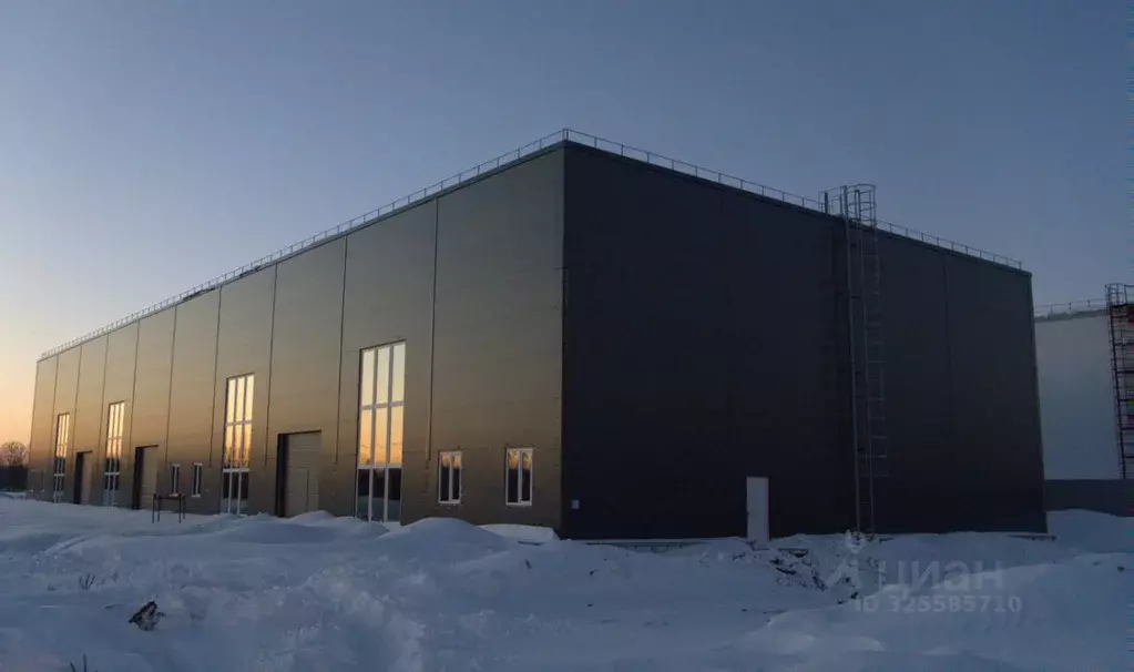Склад в Московская область, Богородский городской округ, д. Большое ... - Фото 1