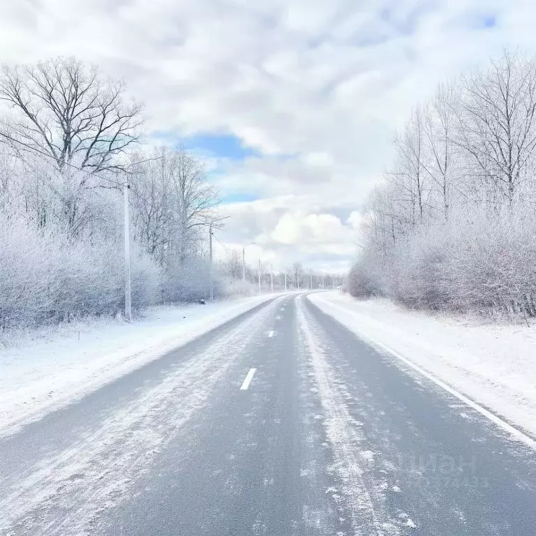 Дом в Псковская область, Островская волость, д. Городище ул. ... - Фото 1