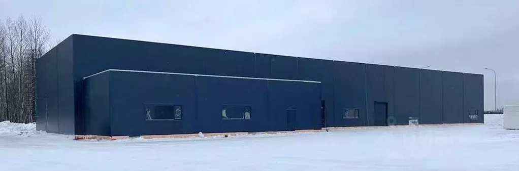 Помещение свободного назначения в Ленинградская область, Всеволожский ... - Фото 0