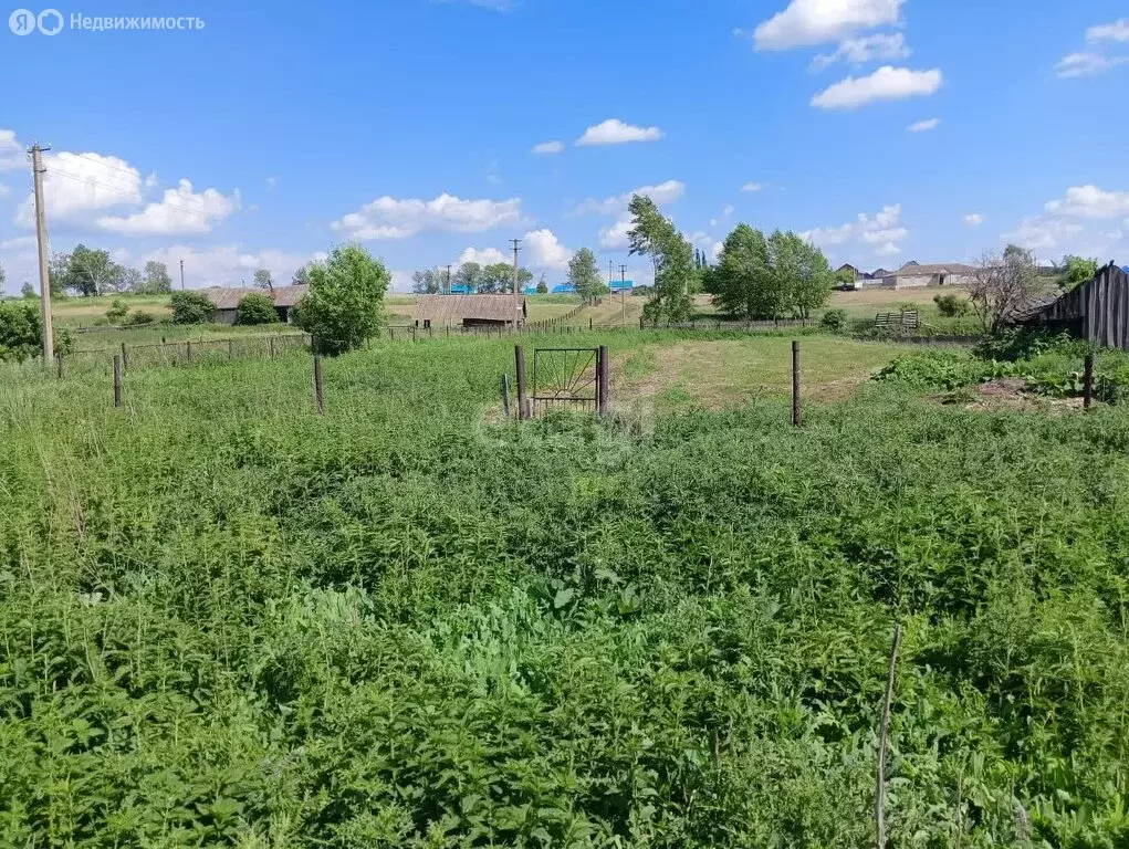 Участок в Кабаковский сельсовет, деревня Верхнетимкино, ... - Фото 2