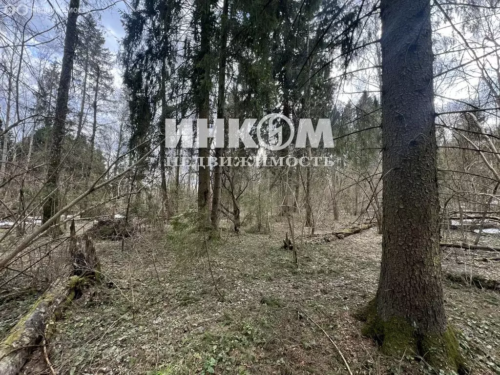 Участок в Московская область, городской округ Мытищи, деревня ... - Фото 2