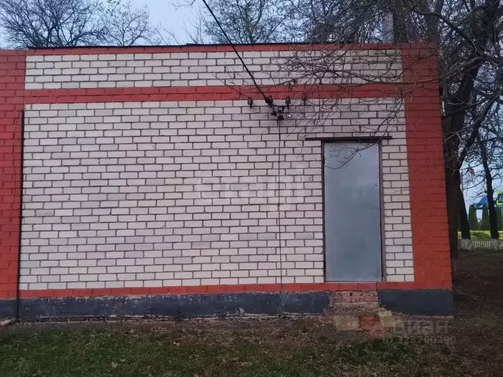 Торговая площадь в Белгородская область, Красногвардейский район, ... - Фото 2