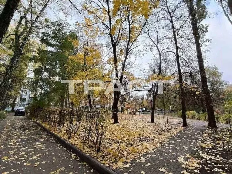 1-к кв. Воронежская область, Воронеж ул. Космонавтов, 24 (38.0 м) - Фото 2