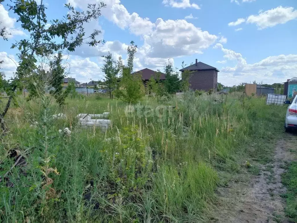 Участок в Тамбовская область, Тамбовский муниципальный округ, д. ... - Фото 1