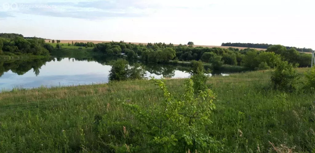 Участок в Тульская область, городской округ Тула, село Дорофеево (30 ... - Фото 0