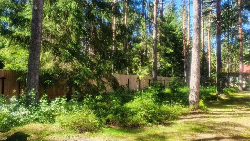 Участок в Ленинградская область, Гатчинский район, Вырица городской ... - Фото 1