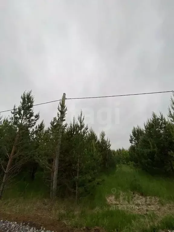 Участок в Свердловская область, Тугулым пгт ул. Победы (17.31 сот.) - Фото 1
