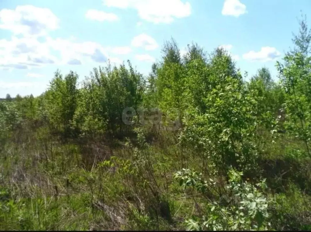 Участок в Ярославская область, Ярославский муниципальный округ, ... - Фото 0