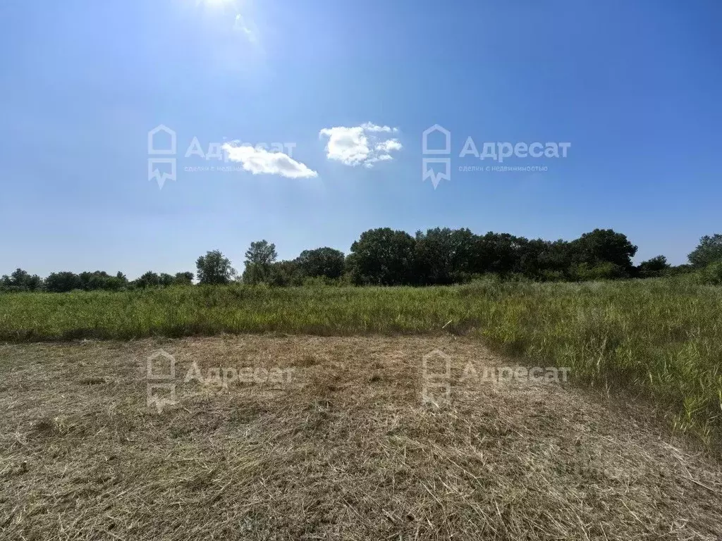 Участок в Волгоградская область, Краснослободск Среднеахтубинский ... - Фото 1